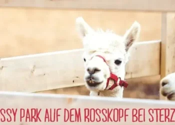 rossy-park-rosskopf-sterzing-streichelzoo