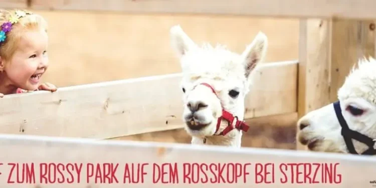 rossy-park-rosskopf-sterzing-streichelzoo