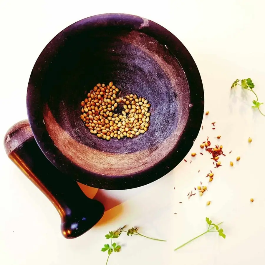 Linsen-Dhal
