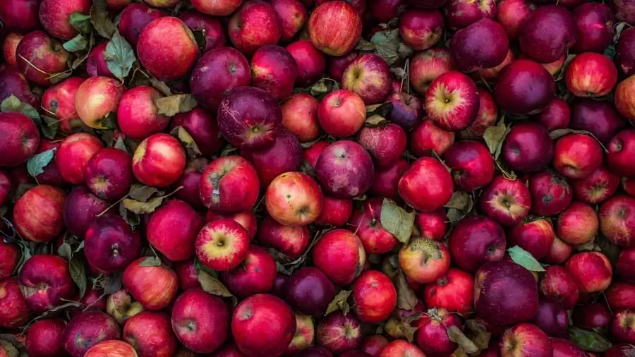 Salbeispätzle-mit-Apfel-Rezeptideen-Rezepte-mit-Äpfeln